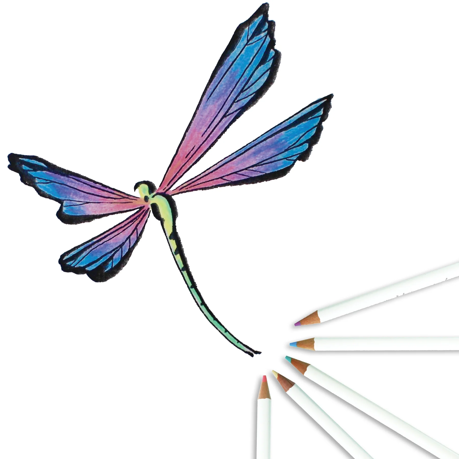 Irojiten Colored Pencils Dictionary, Woodlands - Image 8